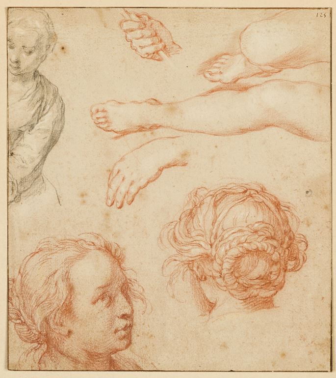 Abraham Bloemaert - Studies of the Head of a Young Woman, Legs and Hands and the Bust of a Woman | MasterArt